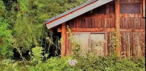 免费吃瓜群小木屋,揭秘网络社交新趋势 第2张 免费吃瓜群小木屋,揭秘网络社交新趋势 第2张