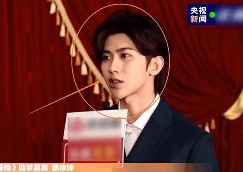 央视爆料蔡徐坤视频最新,央视揭露背后真相 第1张 央视爆料蔡徐坤视频最新,央视揭露背后真相 第1张